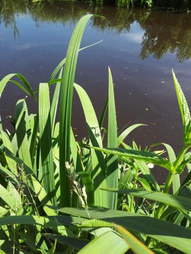 pose in front of the mirror (from the camera)